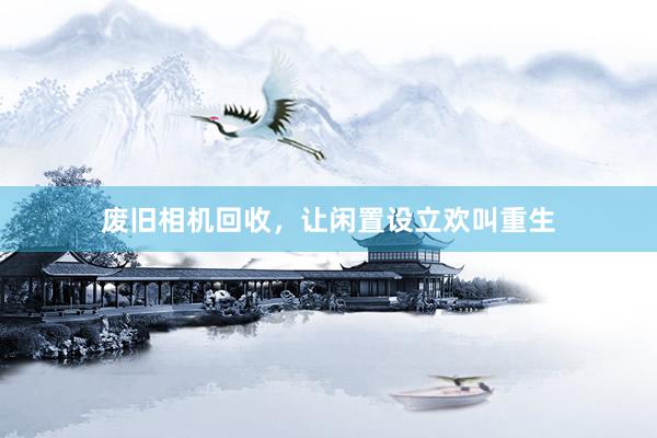废旧相机回收，让闲置设立欢叫重生