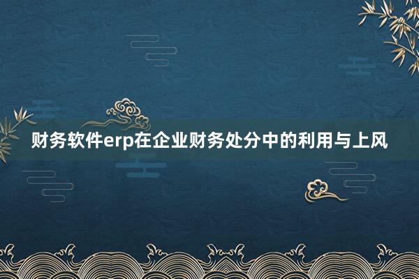 财务软件erp在企业财务处分中的利用与上风