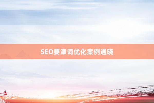 SEO要津词优化案例通晓