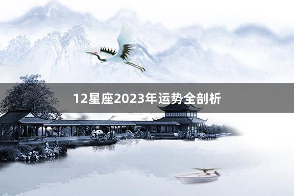 12星座2023年运势全剖析