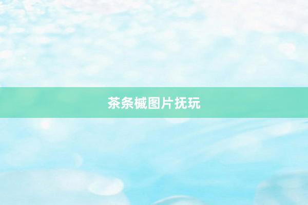 茶条槭图片抚玩