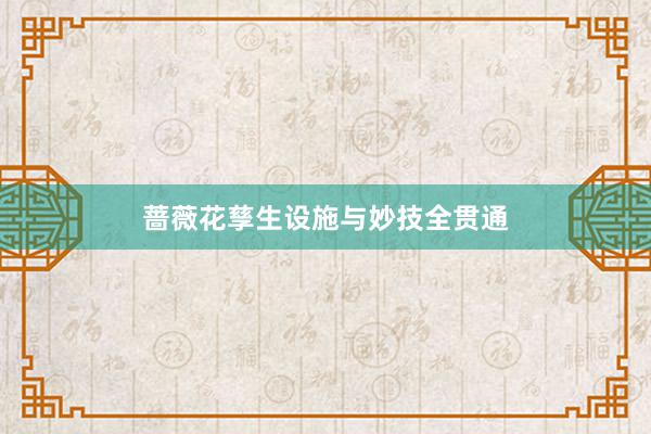 蔷薇花孳生设施与妙技全贯通